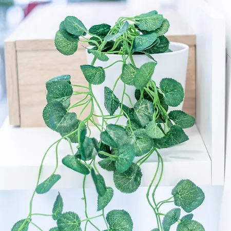 Familybo Mascarella *