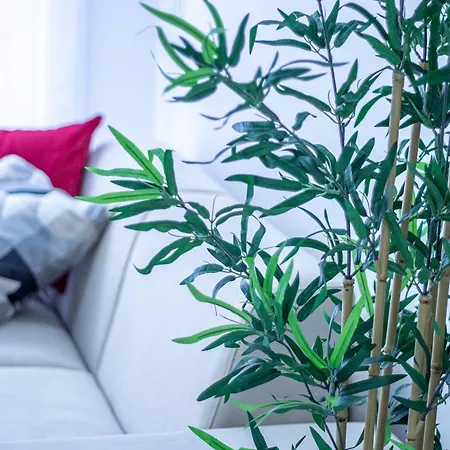 Familybo Mascarella * Bologna